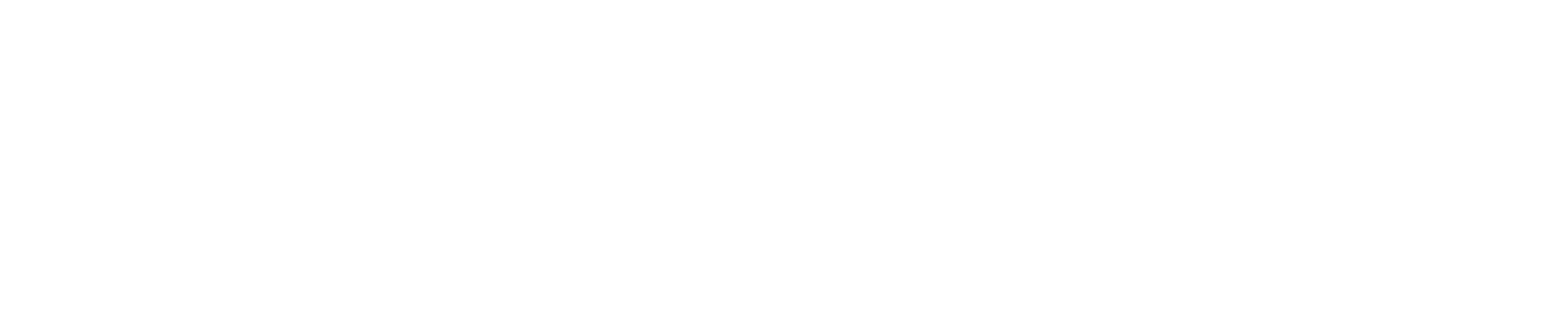 CyberSecureRIA